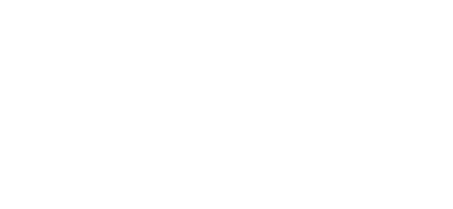 Charles Lesur